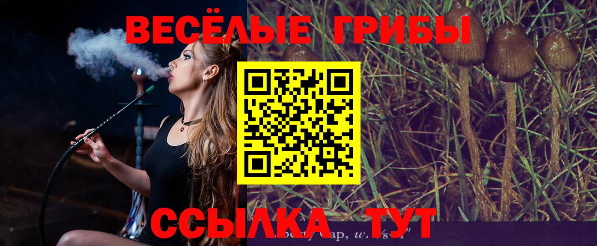 Псилоцибиновые грибы Magic Shrooms Дивногорск